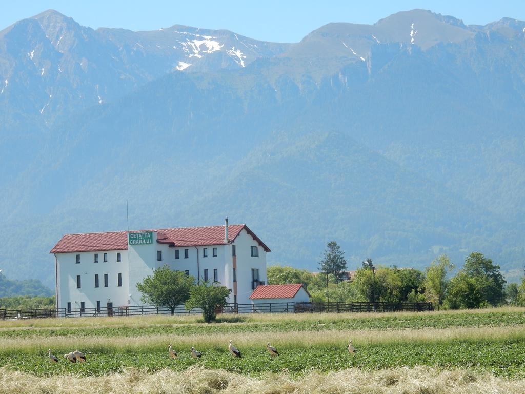 Pensiunea Cetatea Craiului Rîşnov Exterior foto