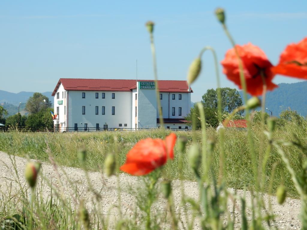 Pensiunea Cetatea Craiului Rîşnov Exterior foto