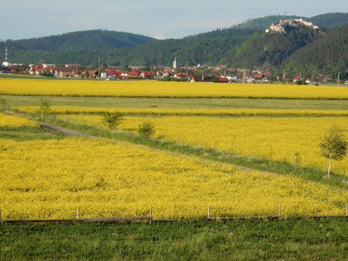 Pensiunea Cetatea Craiului Rîşnov Exterior foto